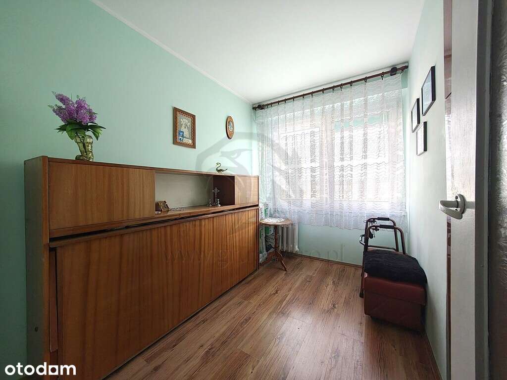 Zielono mi.... Mamy to czego szukasz...-4