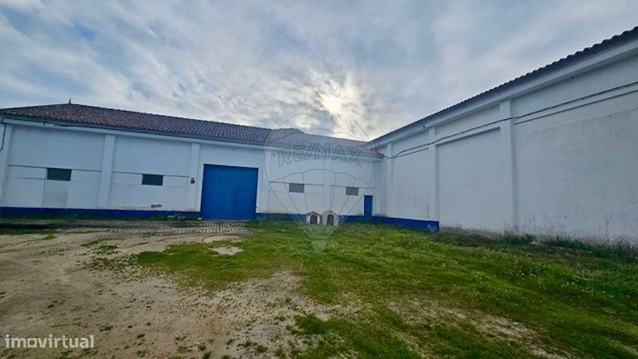 Quinta T3 para venda - Grande imagem: 5/36