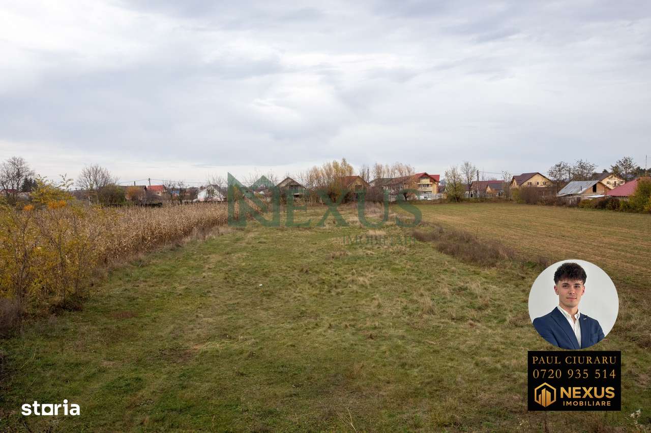 Casă + Teren de vânzare, Nicolae Bălcescu, Bacău-11