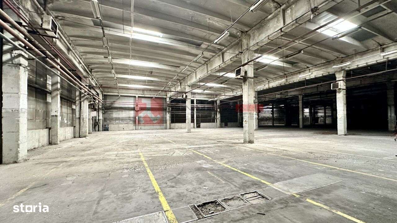 HALA 6000 MP - PRET ATRACTIV - ACCES FACIL - CODLEA - Imagine principală: 2/7