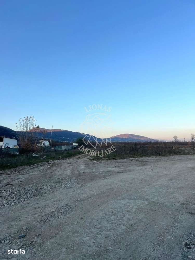 Teren 5300 mp-ideal hala, agricultura, investitie-Zona Groapa Saratii - Imagine principală: 1/3