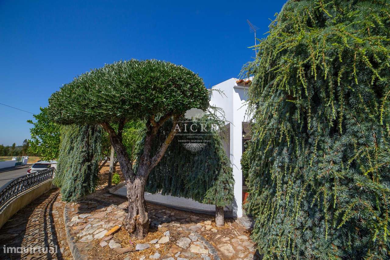 Moradia T4 Nossa Senhora da Tourega - Grande imagem: 4/19