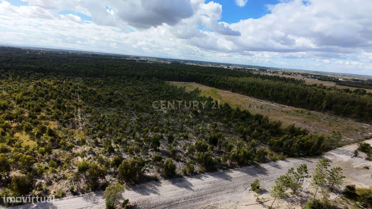 Magnifica Herdade Turística   em Santo Estêvão, Benavente-16
