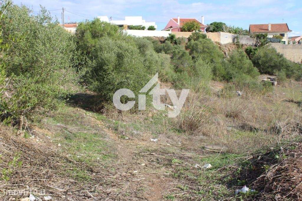 TERRENO 3.600 M2, MORELENA - SINTRA - Grande imagem: 4/38