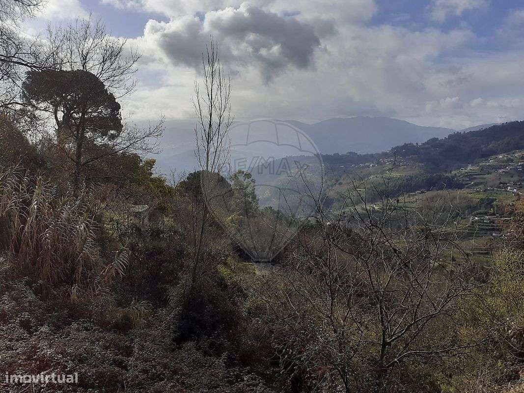 Terreno - Venda - Mesquinhata - Grande imagem: 3/9