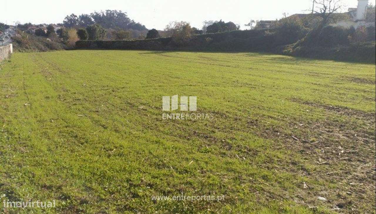 Venda de Terreno, Modivas, Vila do Conde - Grande imagem: 5/11