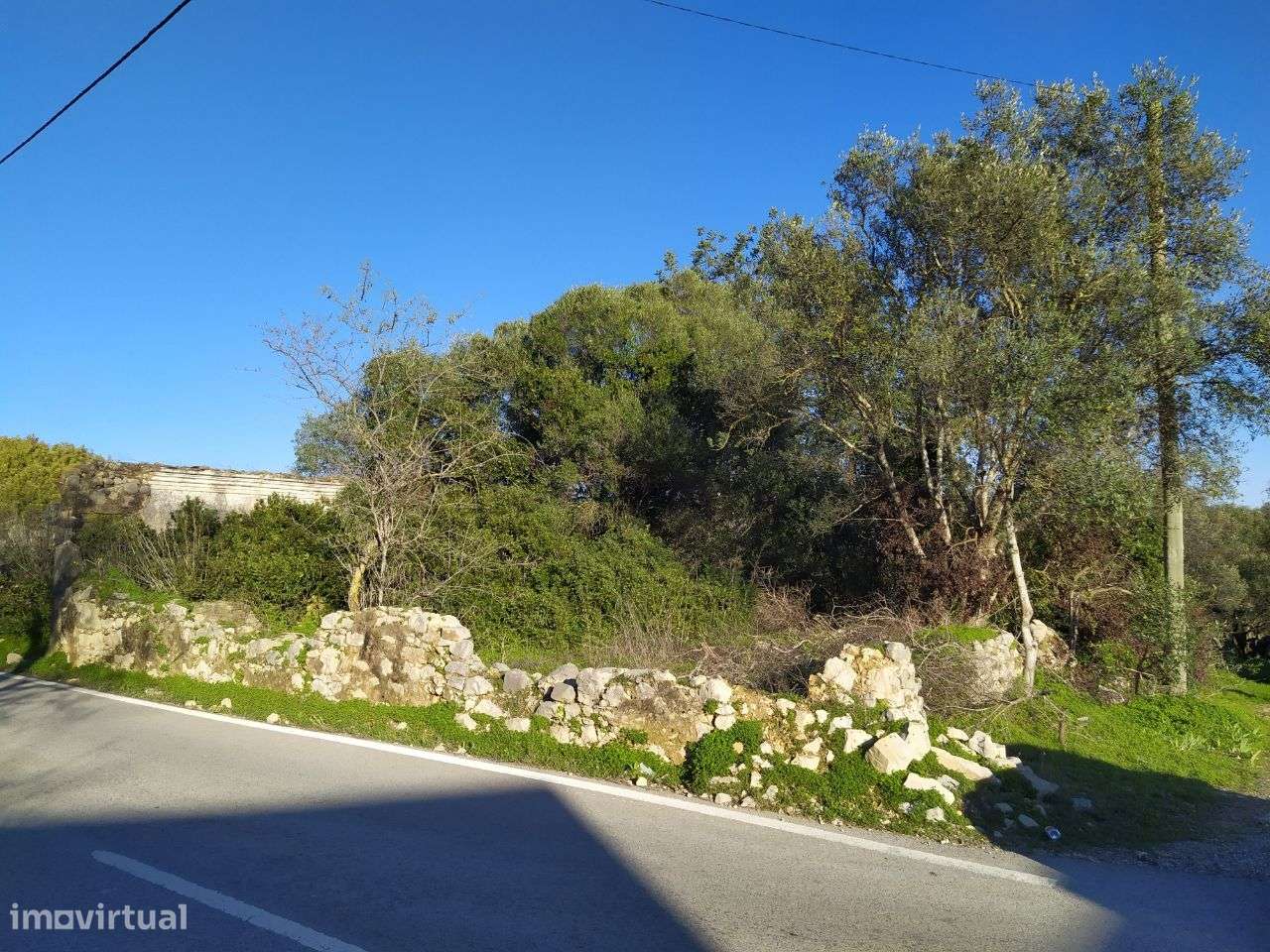 Quinta C/ 5000M2 Terreno Sta Bárbara C/ Vista Mar - Grande imagem: 4/13