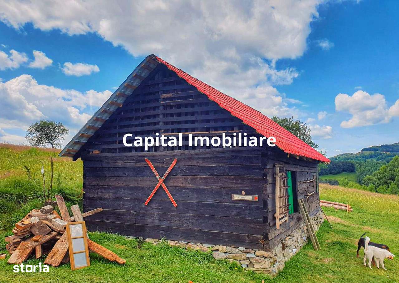 Teren intravilan in Sohodol , Alba - Imagine principală: 4/6