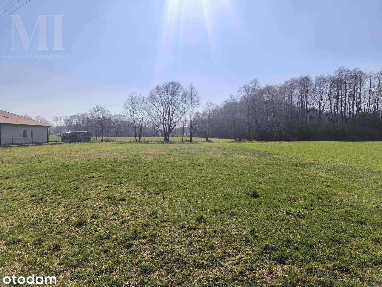 Działka z warunkami zabudowy Krągola - Pełny obrazek: 4/8