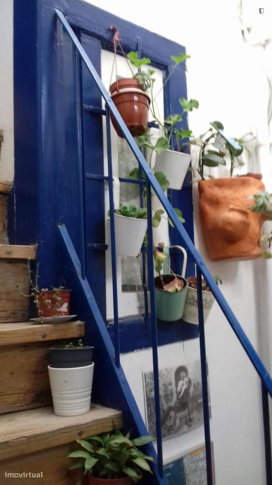 Apartamento com 1 quartos - localizado em Mouraria Lisbon - Grande imagem: 4/10