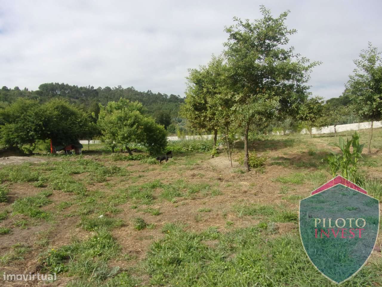 Quinta  Venda em Faíl e Vila Chã de Sá,Viseu - Grande imagem: 3/22