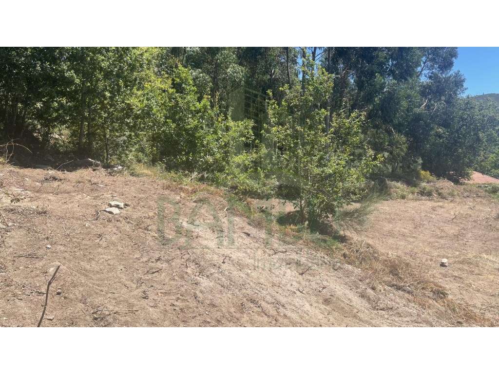 Terreno Venda Valença - Grande imagem: 2/10