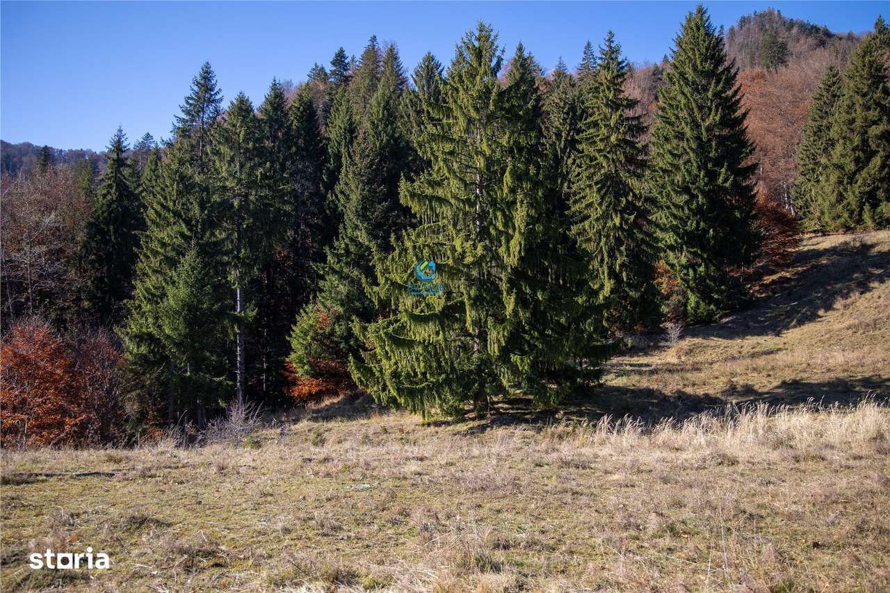 Teren de Vis langa Siriu  – 20000 mp ideal pentru Complex turistic Com-18