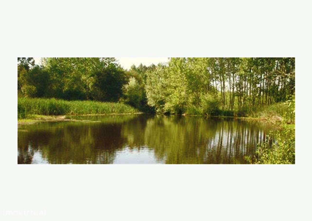 Quinta na Bairrada-20