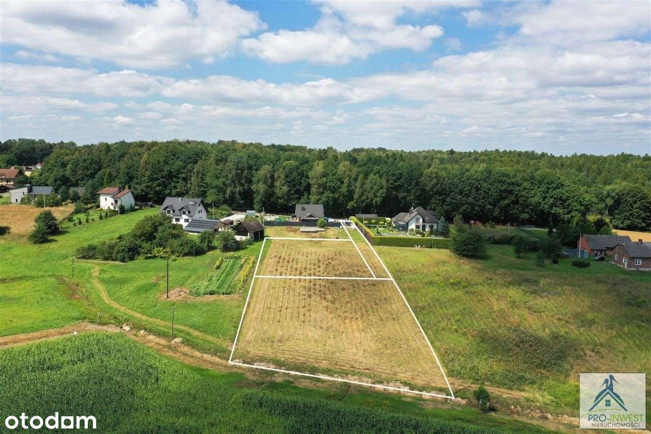 Niedaleko lasu, z górami na horyzoncie - Pełny obrazek: 4/20