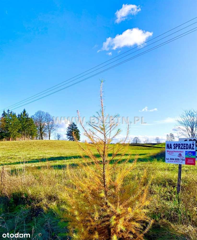 Działka pod budowe domu - blisko jeziora ! - Pełny obrazek: 4/11