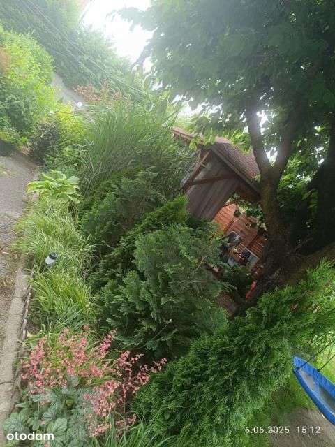 Okazja! Ogródek 400m2 i parking w cenie.-6