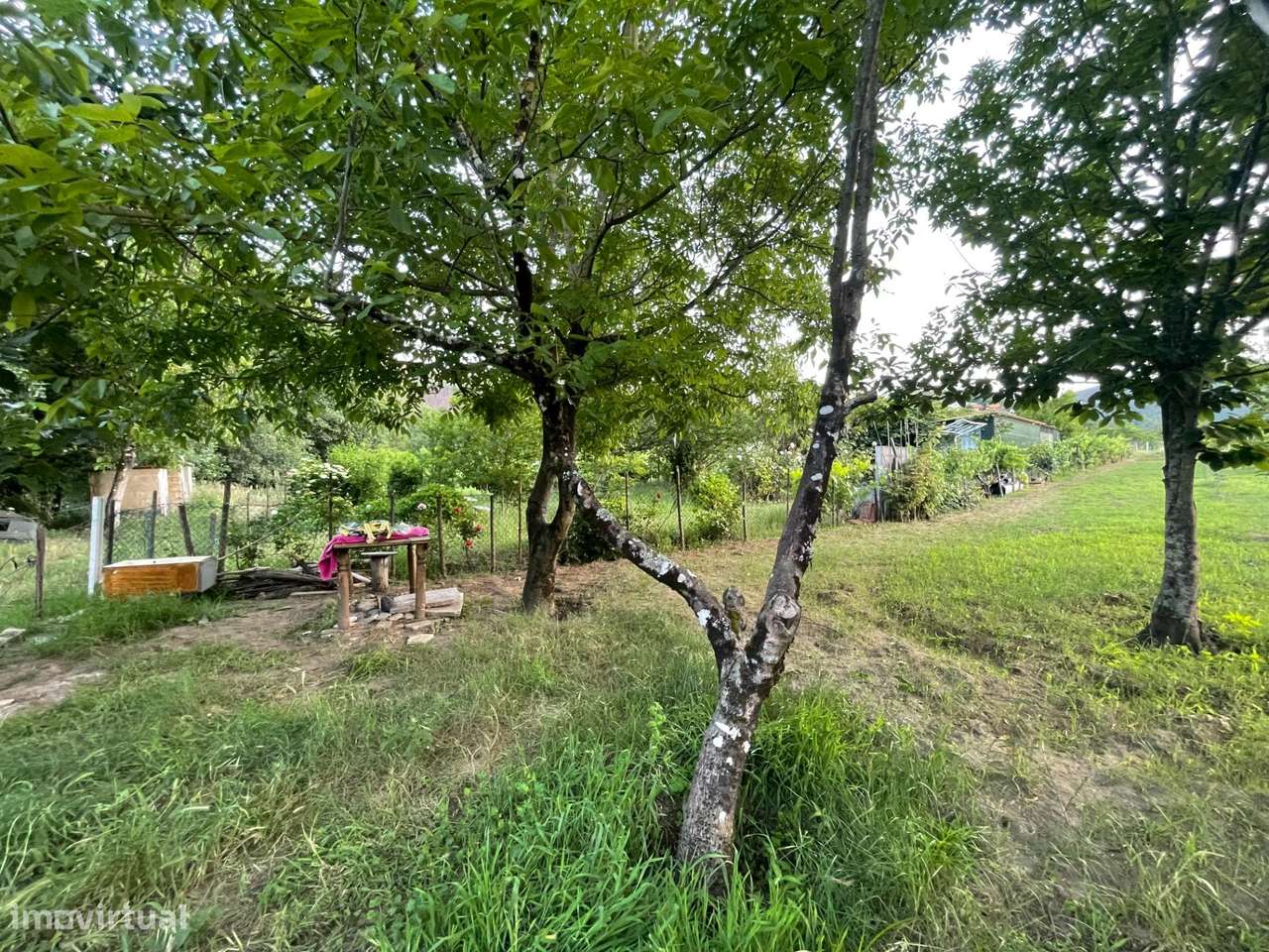 Refúgio de Verão junto ao Rio Alva-9