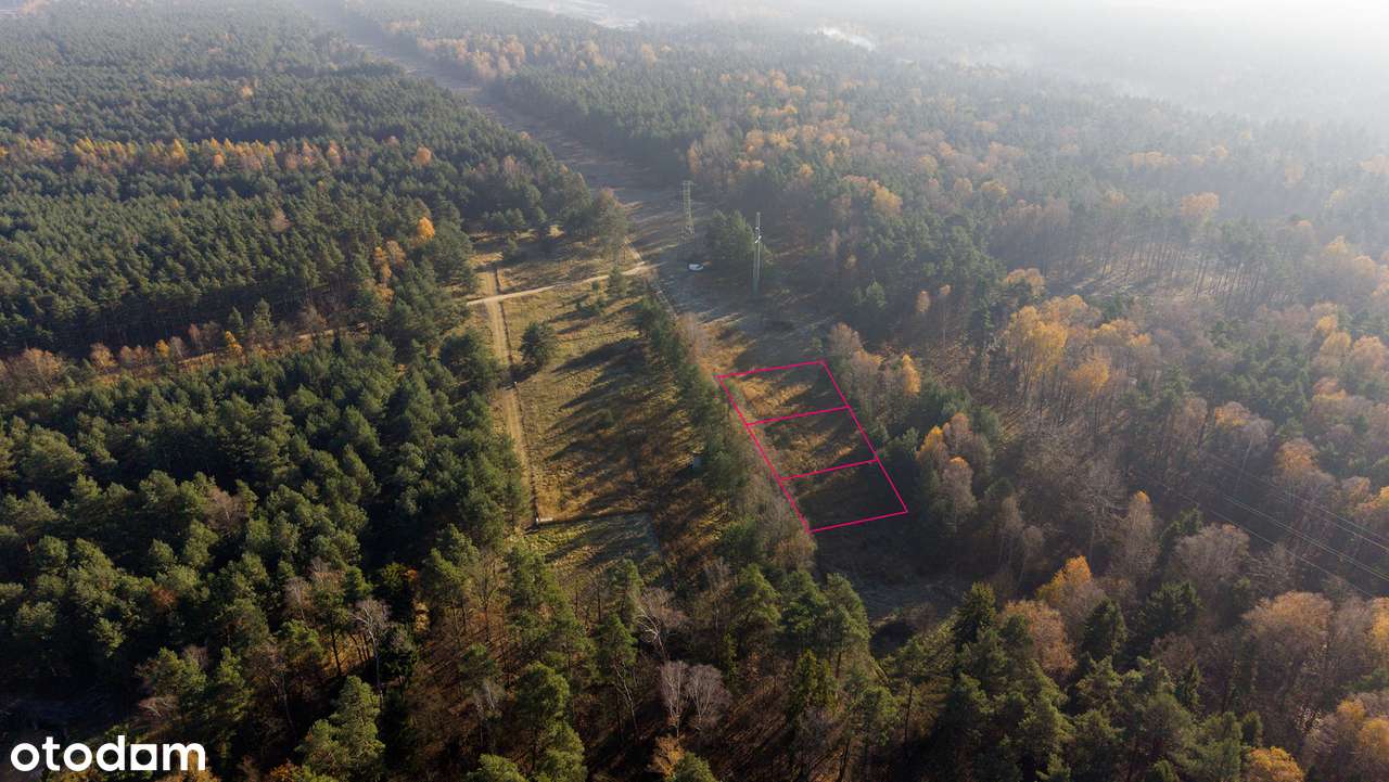 Sosnowiec | Działki budowlane w sąsiedztwie lasu - Pełny obrazek: 5/12