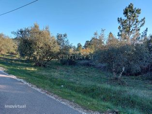 Terreno Redinha || Redinha || Pombal - Grande imagem: 4/14