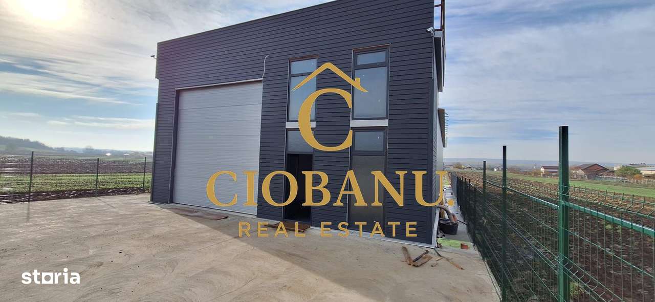 Hala de vanzare in Racari de Jos-19