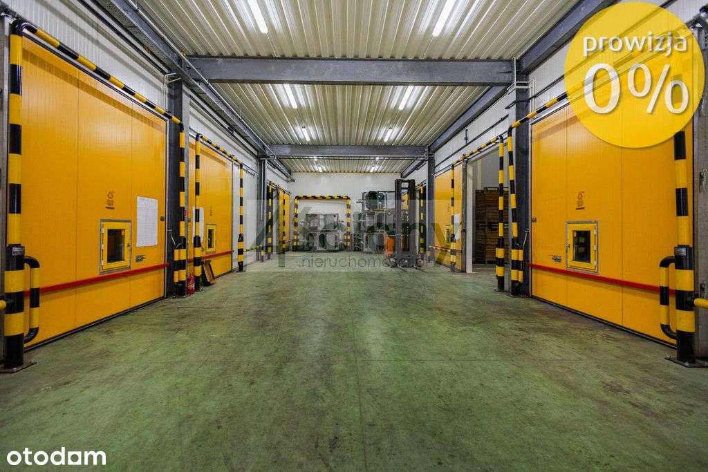 Obiekt z ogromnym potencjałem - Pełny obrazek: 5/18