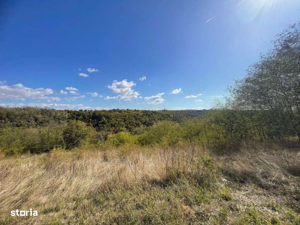 Teren Babana - Imagine principală: 5/8