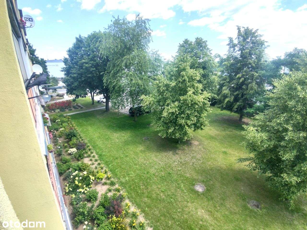 Mieszkanie, 64 m², Oborniki-15