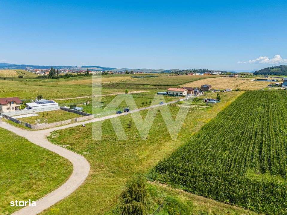 Teren pretabil constructie rezidentiala – Sanpetru - Imagine principală: 5/15