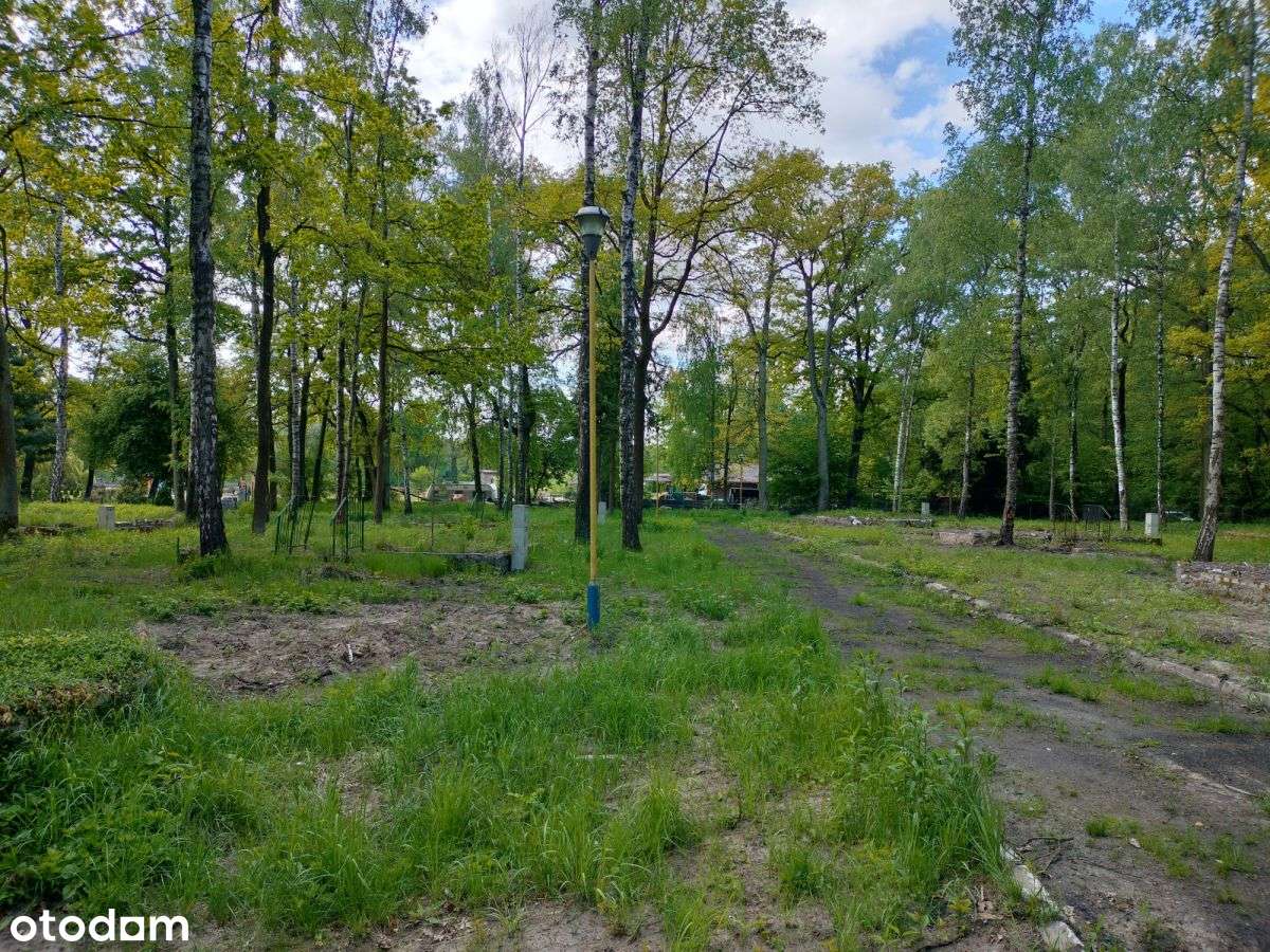 Działki turystyczno rekreacyjne w lesie-6