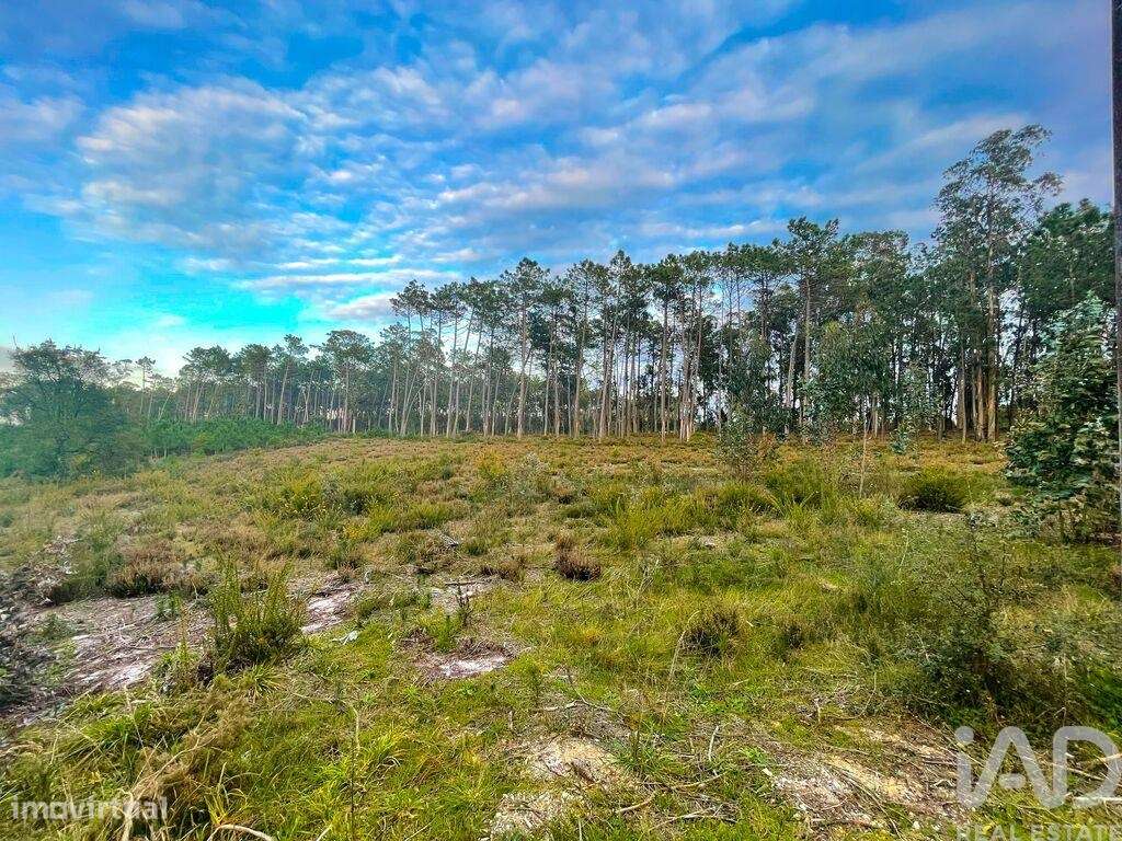 Terreno para construção em Monte Redondo e Carreira de 1260,00 m2 - Grande imagem: 2/8
