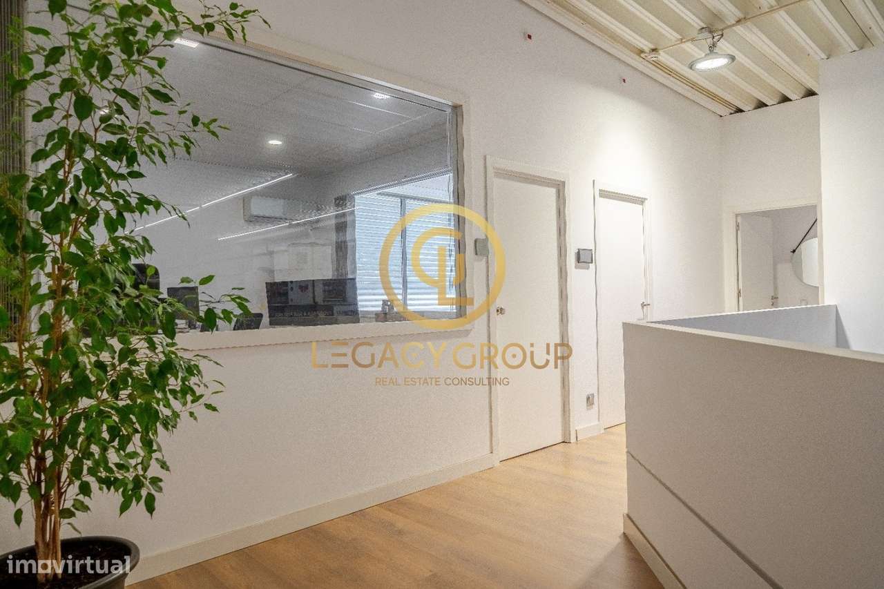 Armazém Moderno + Negócio de Bricolage em Tunes - Grande imagem: 5/34