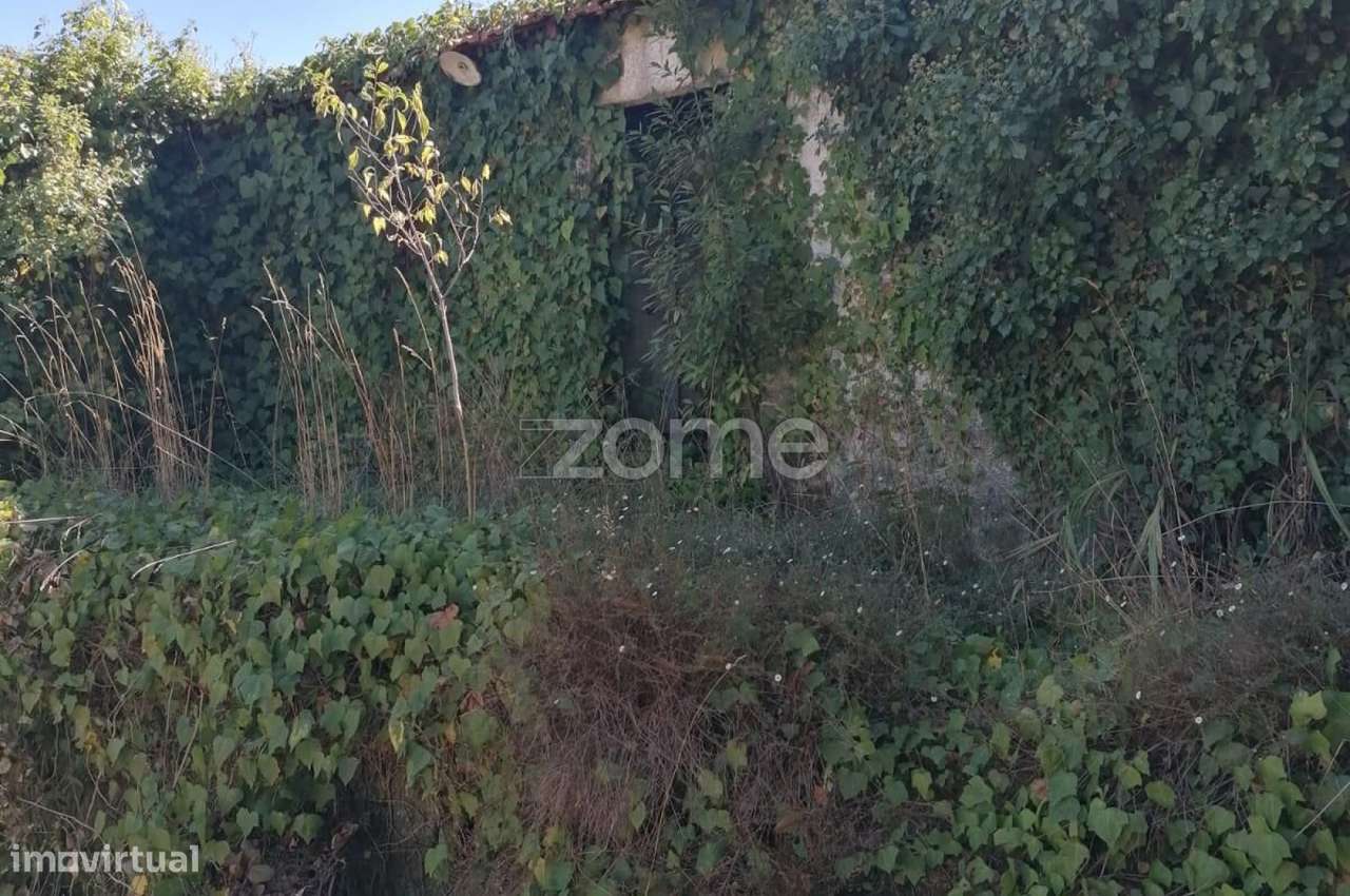 Terreno com Potencial de Construção em Travanca – Amarante - Grande imagem: 4/10