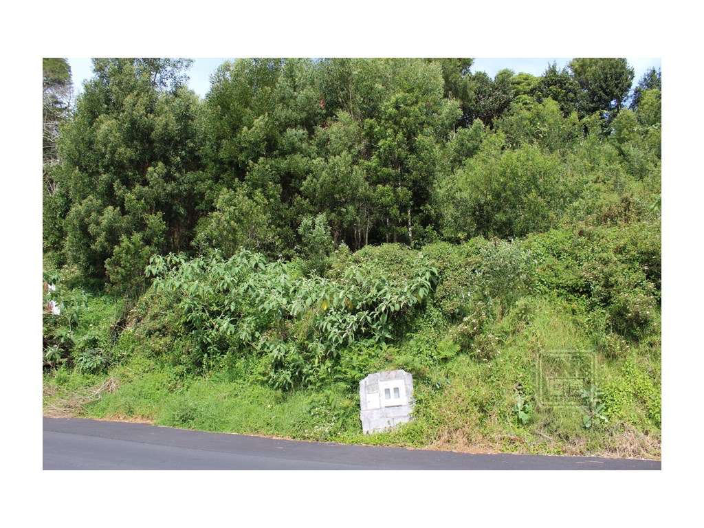 VENDA de LOTE de Terreno para construção - Terra Chã, Angra do Hero... - Grande imagem: 5/5