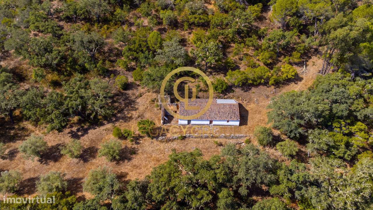 Quinta de 6 hectares perto de São Martinho das Amoreiras-29