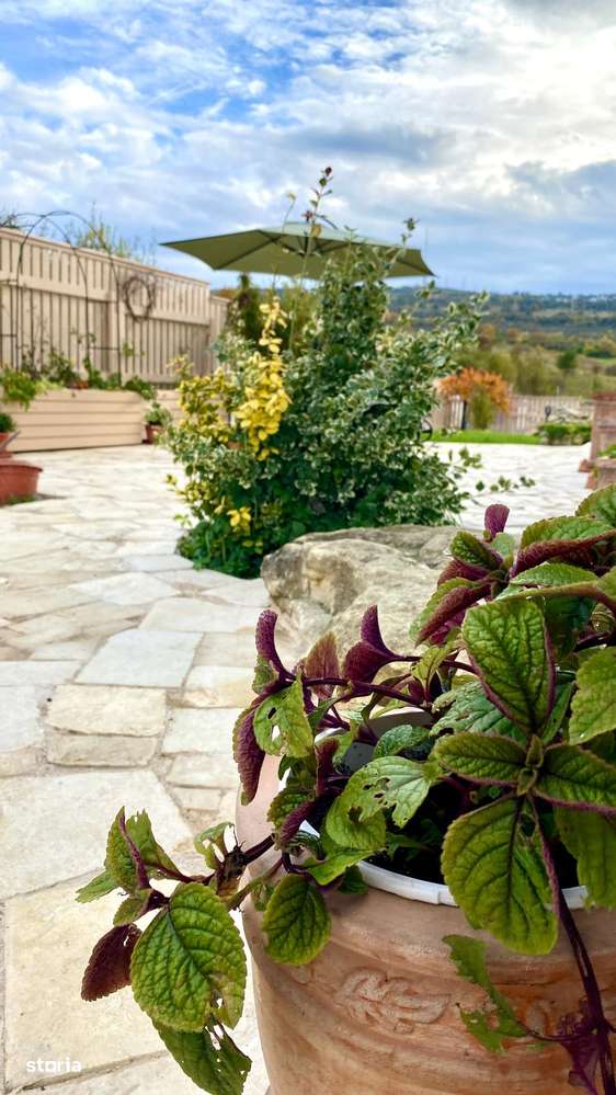 Casa individuala finisata cu gust si personalitate. - Imagine principală: 4/8