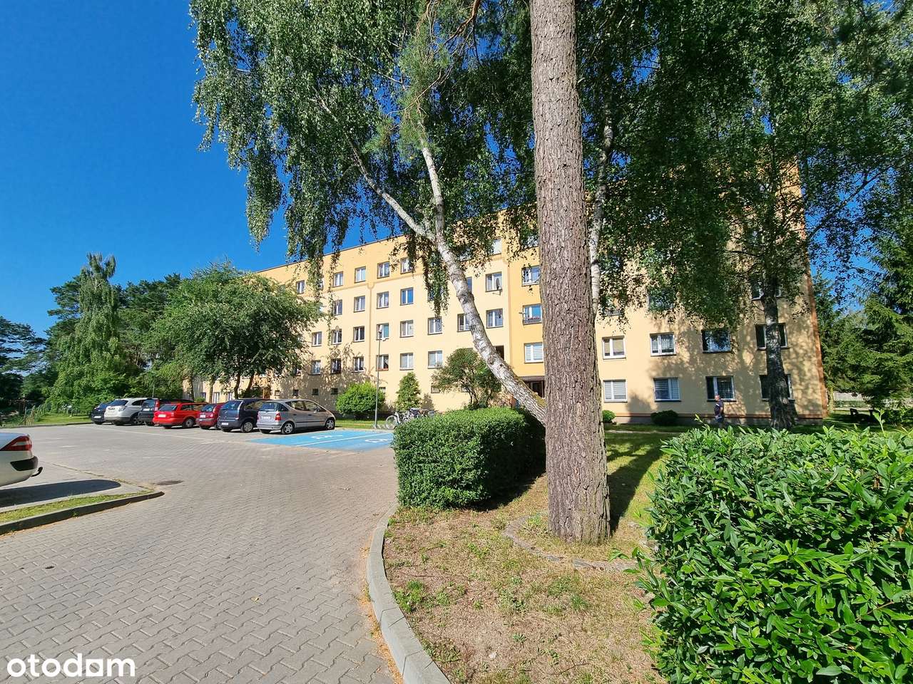 Mieszkanie 2 pokojowe na parterze, z podjazdem na wózki.-2