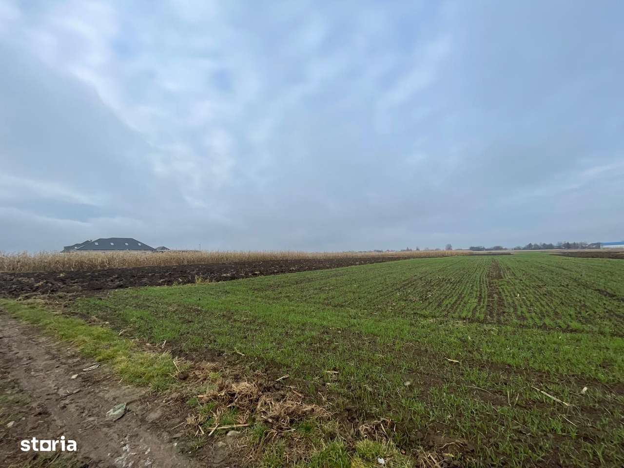 TEREN EXTRAVILAN 13 ARI | FRONT STRADAL 13 M | MARGINEA - Imagine principală: 4/11