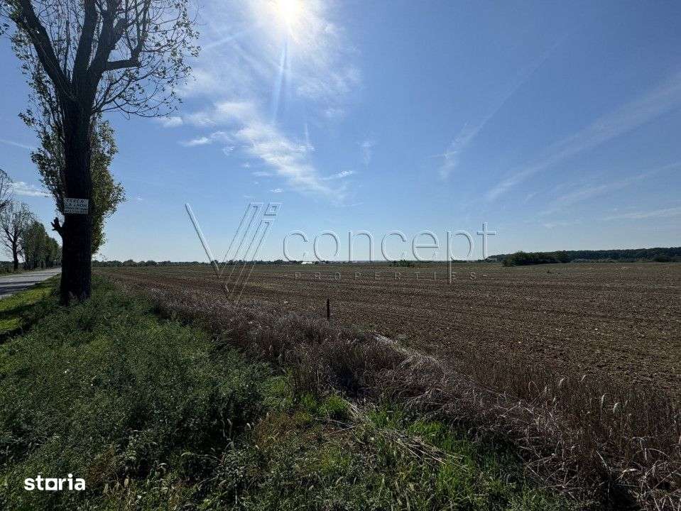 0% comision Teren intravilan – Ciolpani – Izvorani | 1.300 mp-2