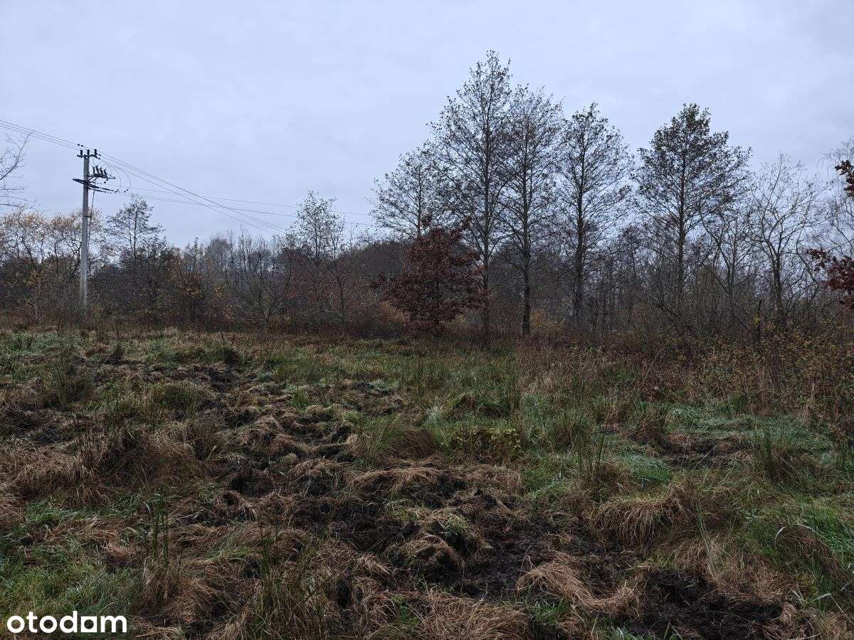 Słoneczna działka budowlana w Sasinie Jarzębinowa-13