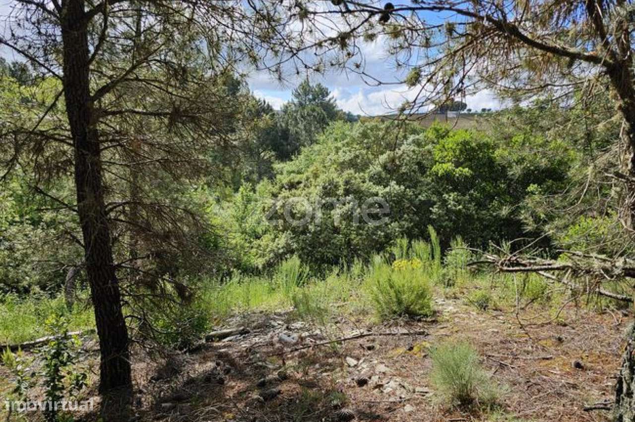 Terreno, 39 100 m², Favaios-9