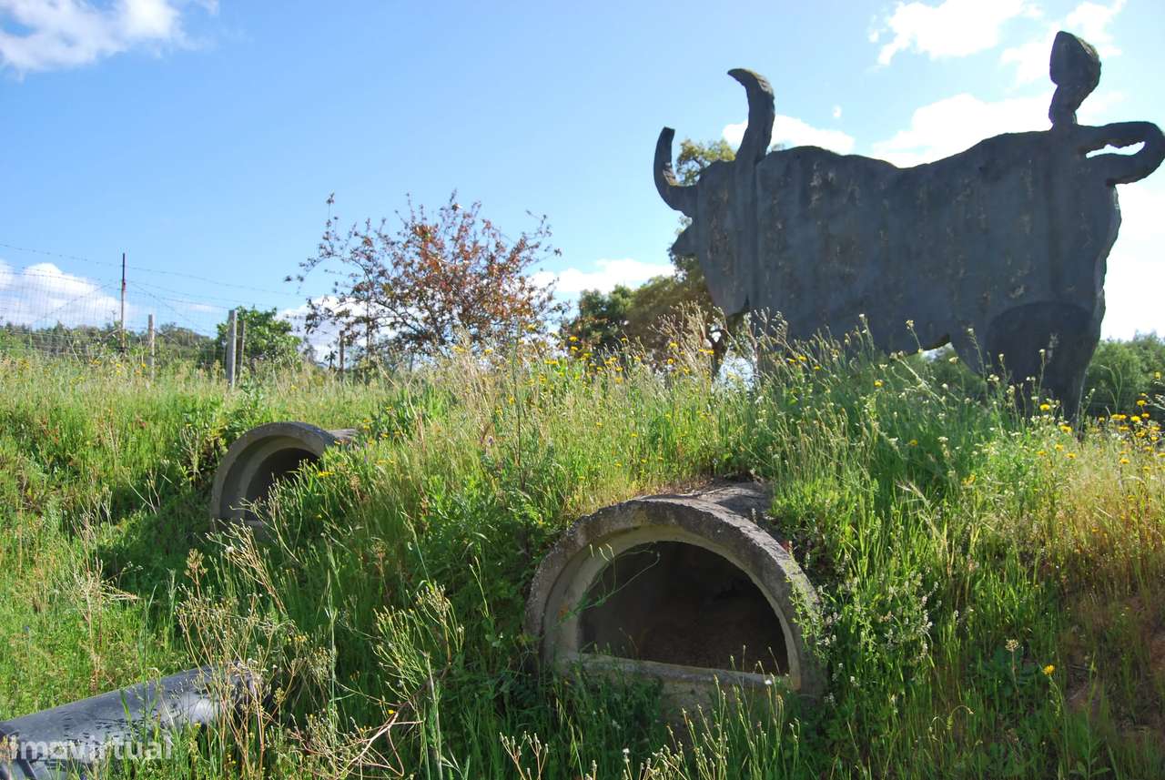 Terreno rústico 28200m2 em Vale do Junco, Chamusca, Golegã-24