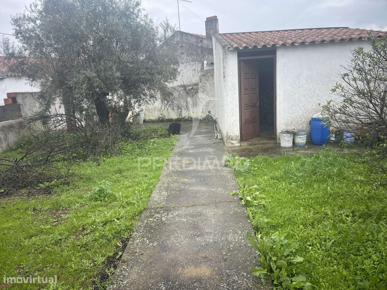 Moradia T2+1 com amplo quintal e poço em Alfundão.-22