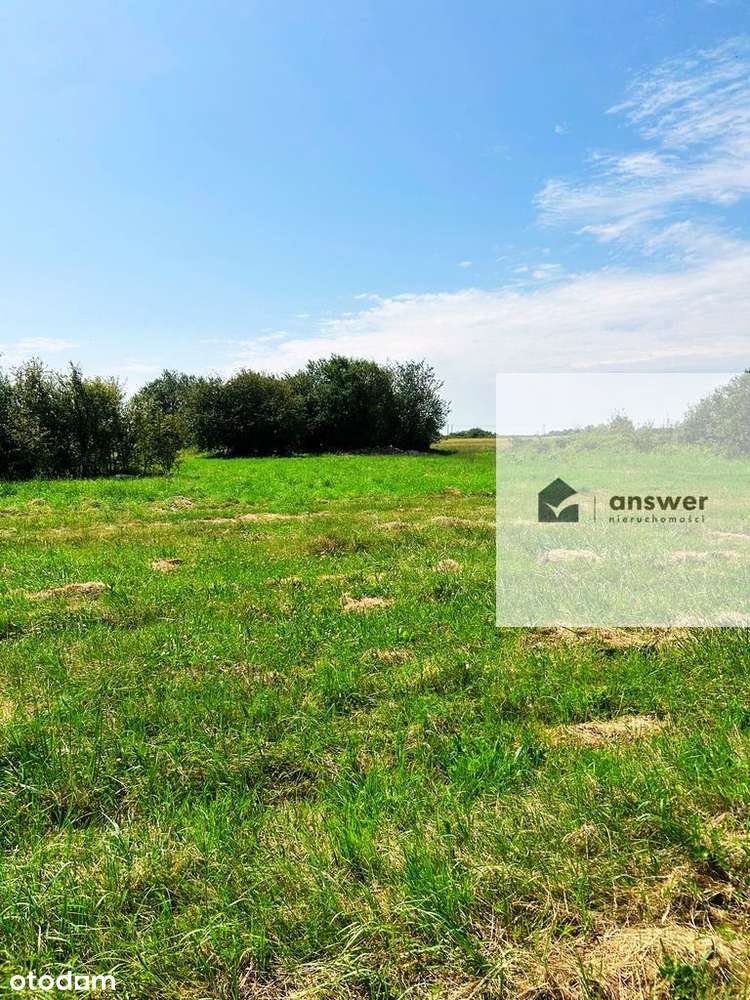 Na Sprzedaż Działka Budowlana – Chełmek Wołowski - Pełny obrazek: 4/7