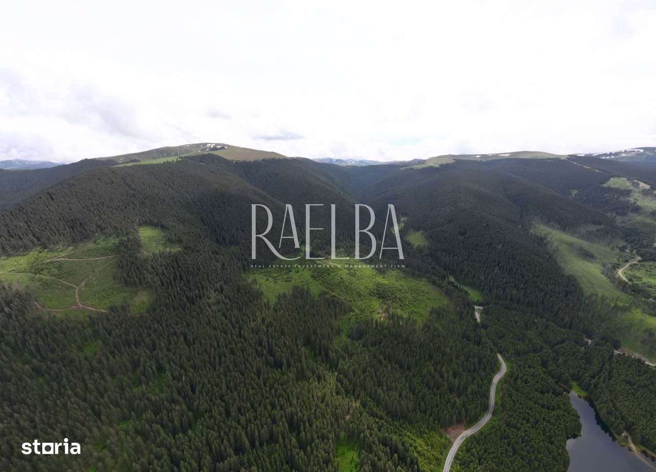 7831mp Padure | 1200mp construbili | 5.min Partie Transalpina | 177m L-2