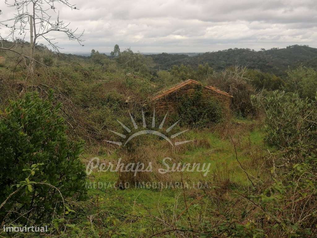 Quinta em Relíquias - Odemira-7