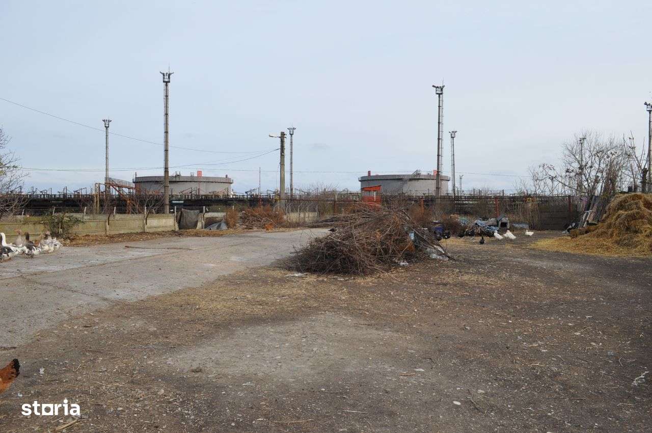 Cet Teren de inchiriat 2400 mp-ideal dezmembrari auto - Imagine principală: 4/10