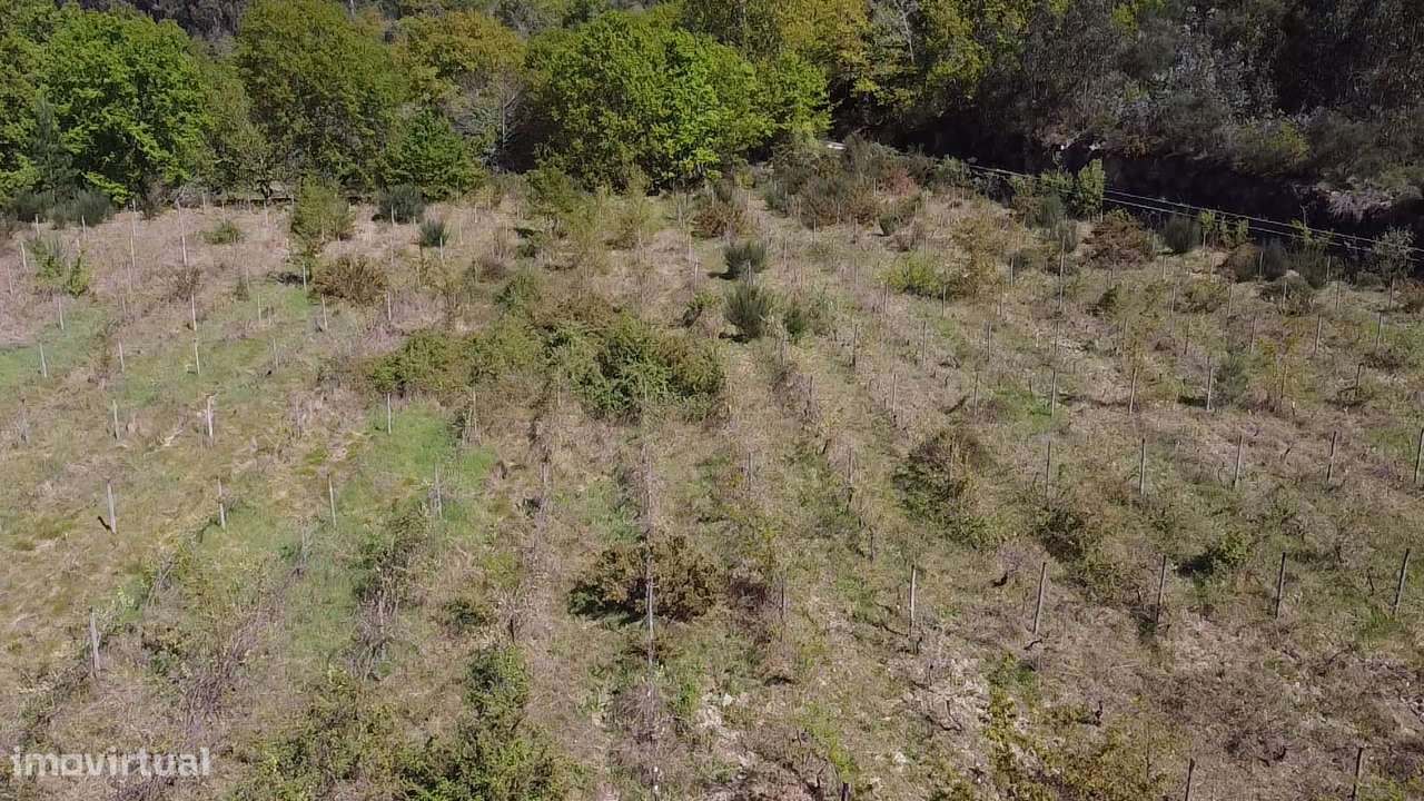 Terreno – Vouzela-5