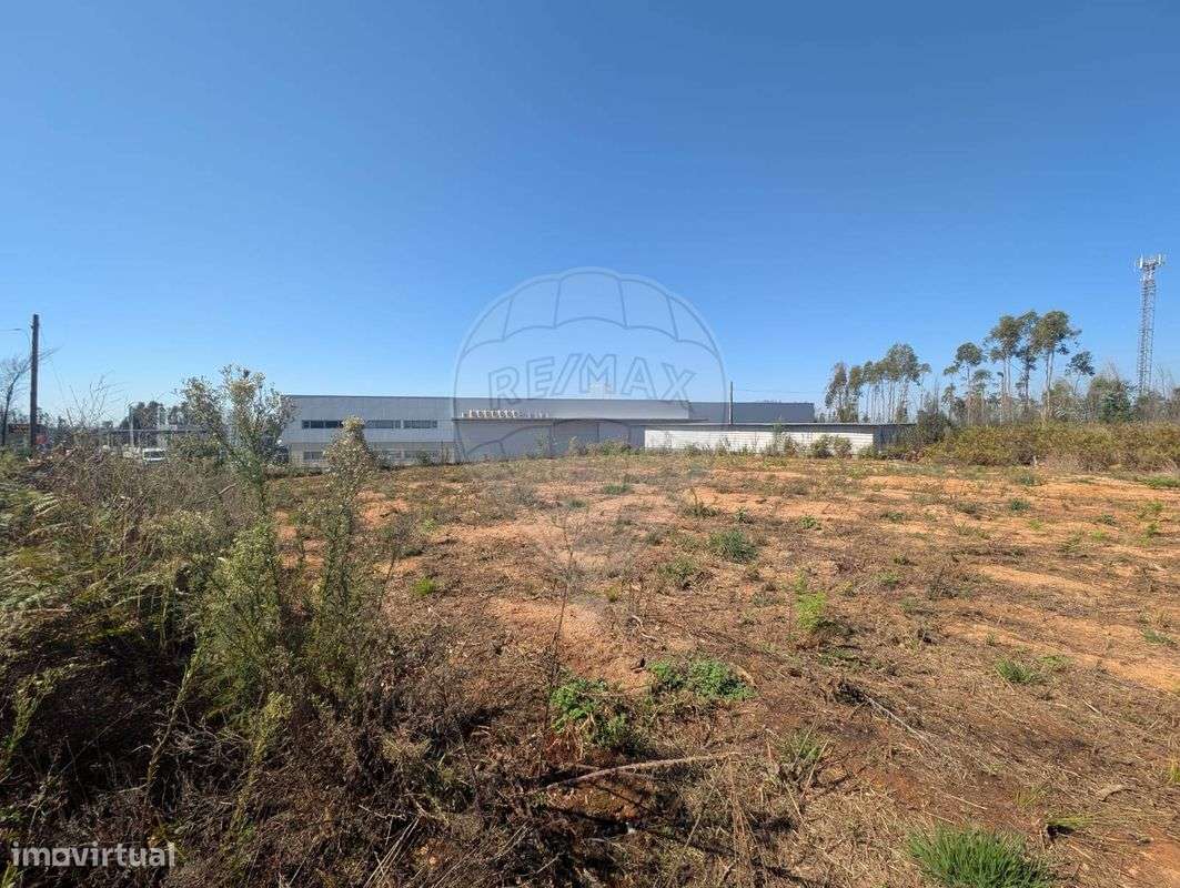 Terreno  para arrendamento - Grande imagem: 5/6