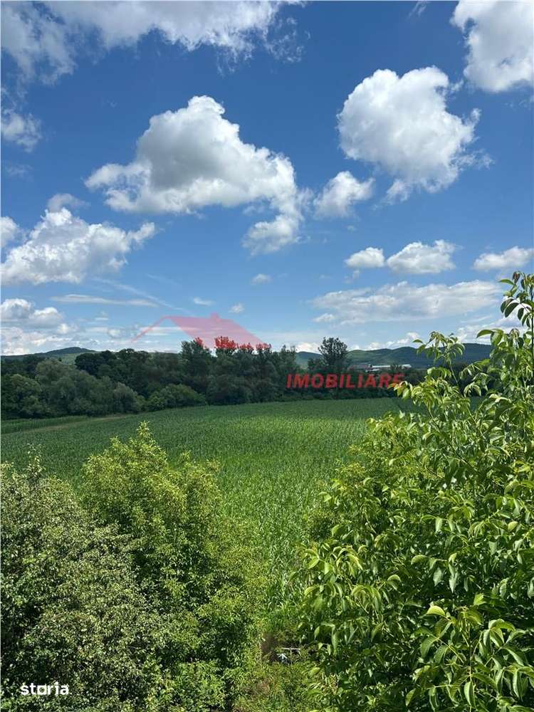 2 Case cu 41 ari teren, Ilisua - Imagine principală: 5/10